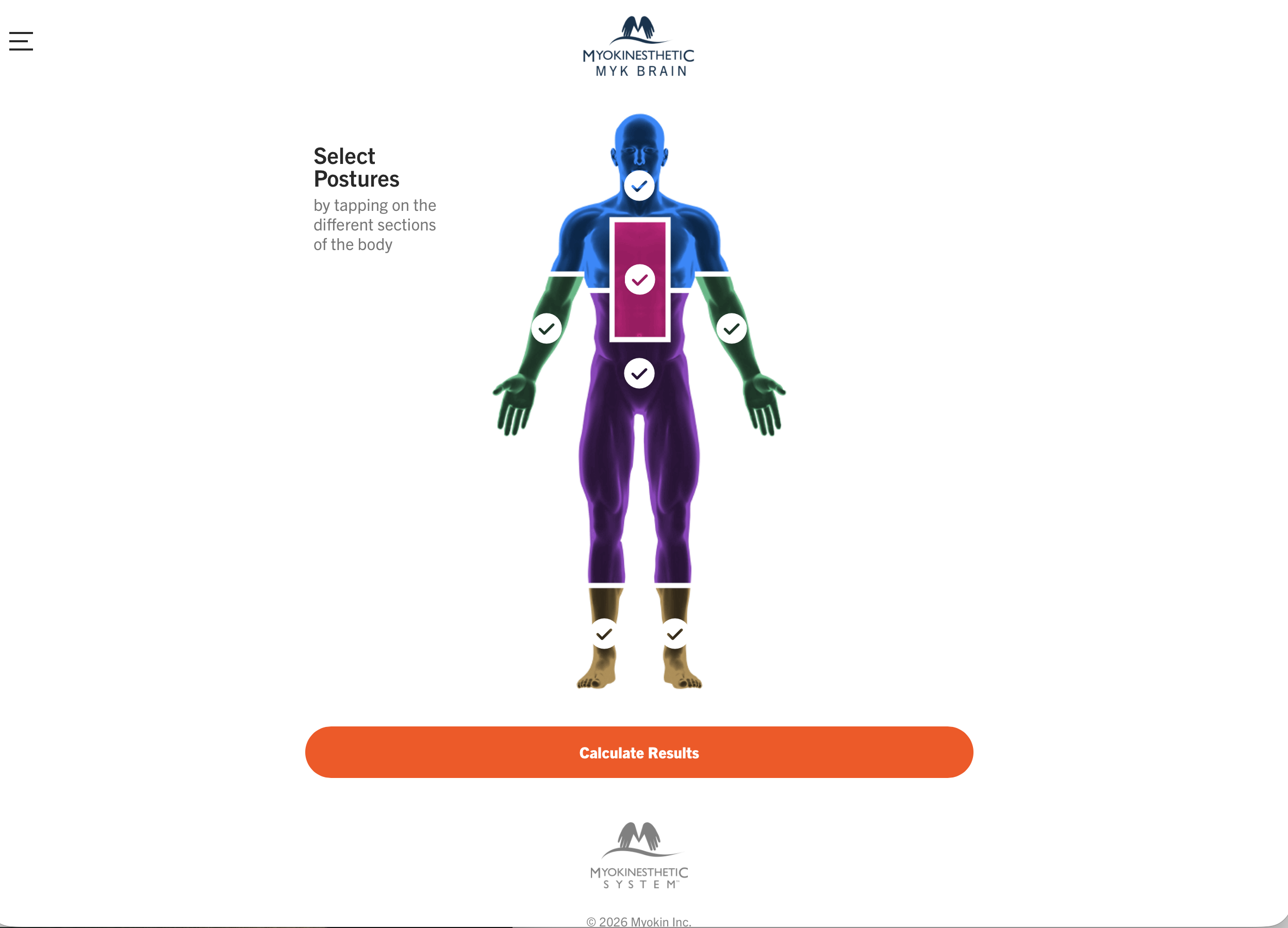 MYK Brain analyzing selected postural findings to identify the nerve pattern that best matches the patient's posture.
